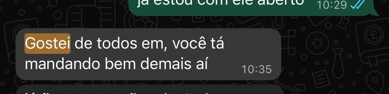 Print de WhatsApp de cliente: “Gostei de todos, hein, você tá mandando bem demais aí”